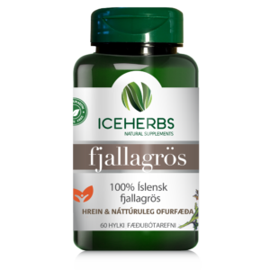 FJALLAGRÖS - FYRIR MELTINGUNA