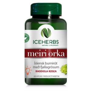 MEIRI ORKA - BURNIRÓT